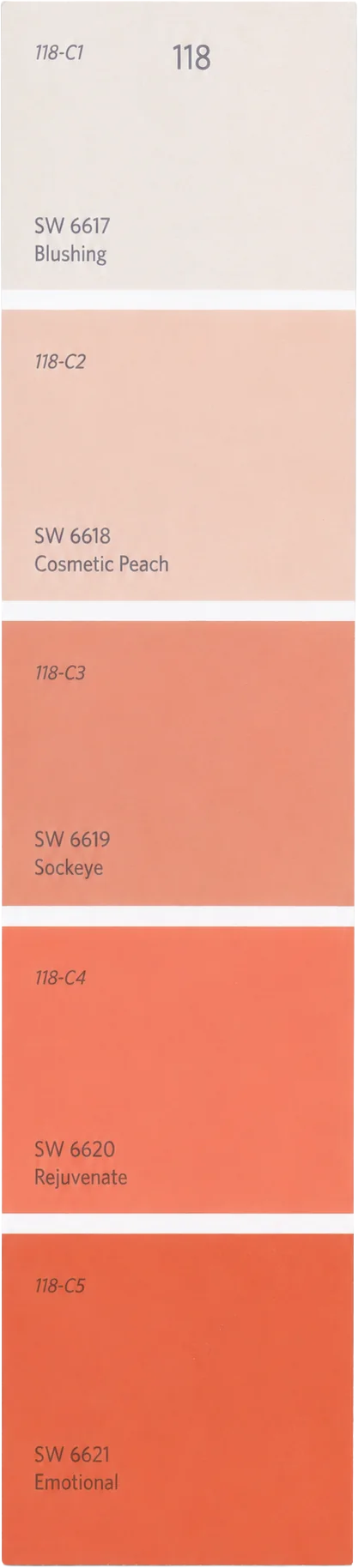 Paint swatch strip with five warm terracotta tones, from Blushing to Emotional